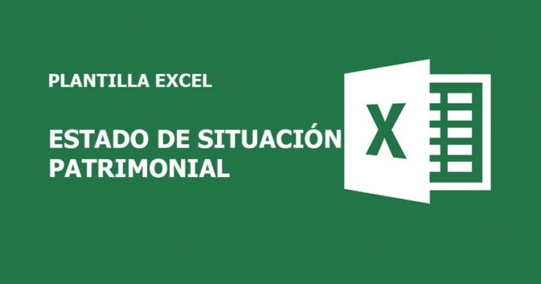 ESTADO DE SITUACIÓN PATRIMONIAL EN EXCEL - formato Excel
