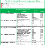 Plantilla excel rutina gimnasio gratis plantilla excel rutina gimnasio gratis