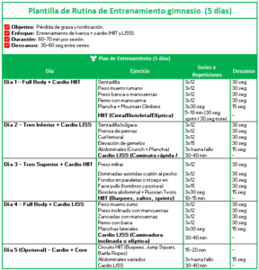 plantilla excel rutina gimnasio gratis